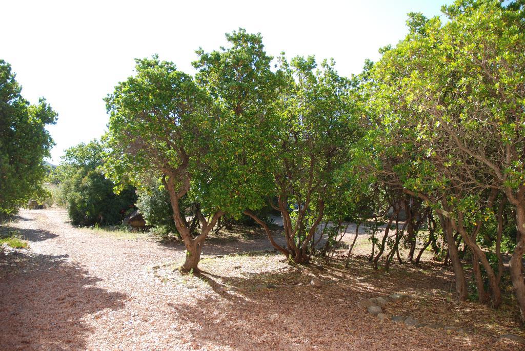 Residence Riviera Porto-Vecchio  Bagian luar foto